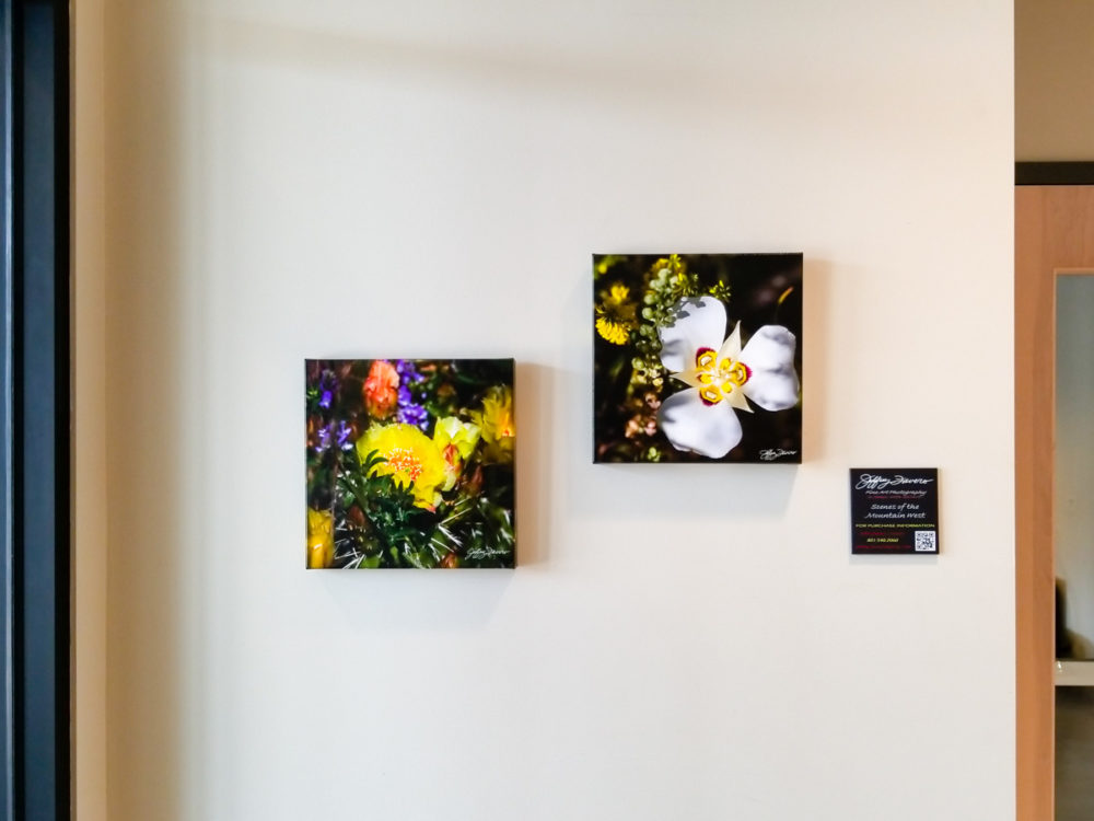 Entry Cactus Blossoms and Sego Lily