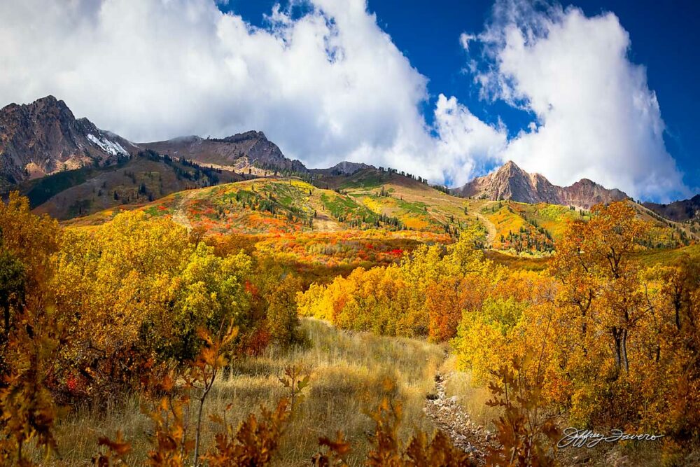 Fall Below Snow Basin