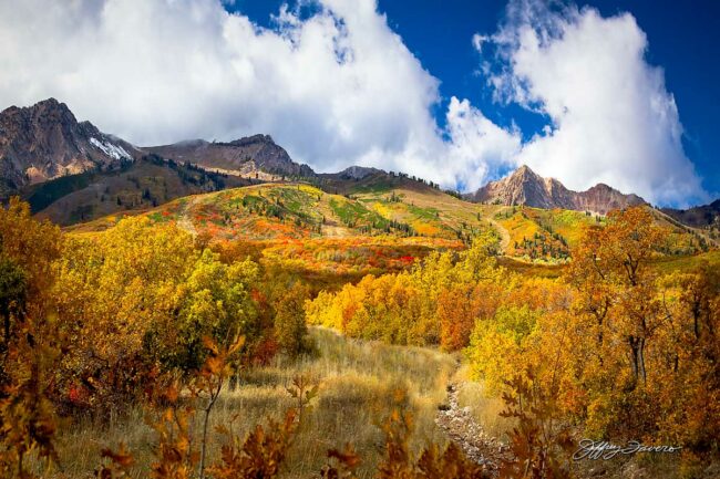 Fall Below Snow Basin