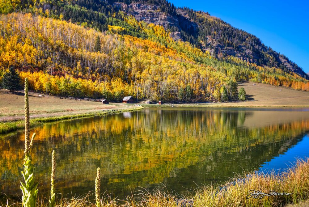 Peaceful Tranquility - Colorado