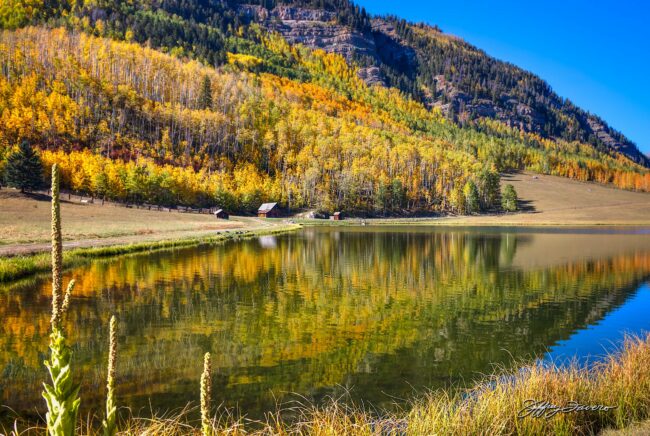 Peaceful Tranquility - Colorado