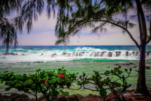 Shark's Cove at Pupukea Beach Park