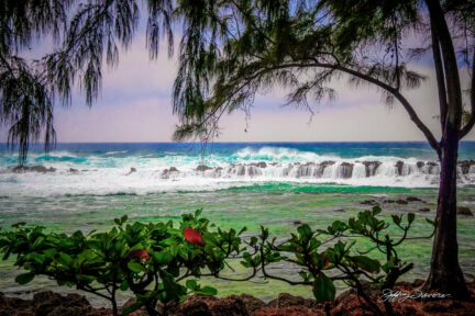 Shark's Cove at Pupukea Beach Park