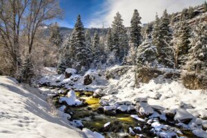 Uncompahgre River