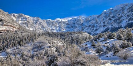 New Fallen Snow - Ouray, CO