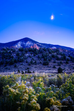 Moonrise and Autumn Dusk