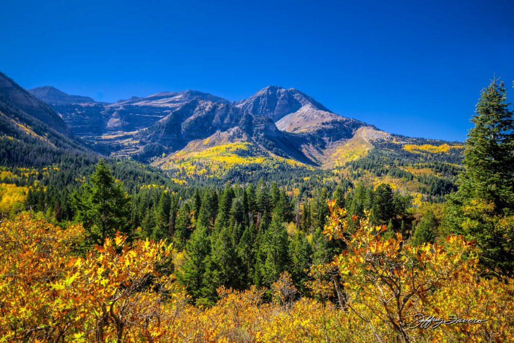 Alpine Loop Scenic Byway