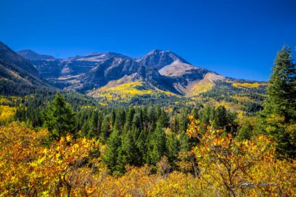 Alpine Loop Scenic Byway