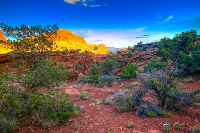 Golden Hour at Chimney Rock