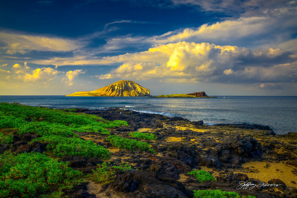 Serenity at Makapuʻu Point