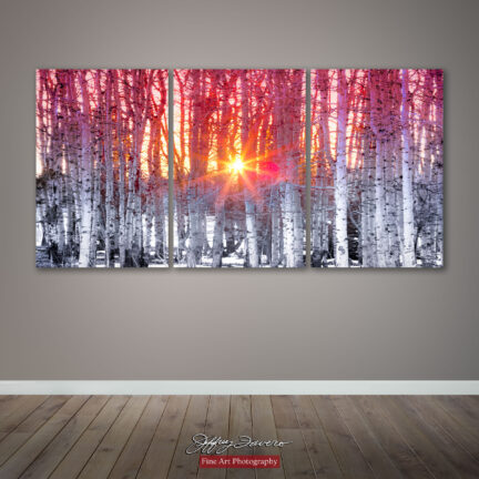 Sun Thru Winter Quakies - Canvas Gallery Wrap Triptych - 36 x 72